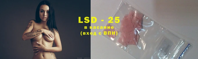 мет Болотное