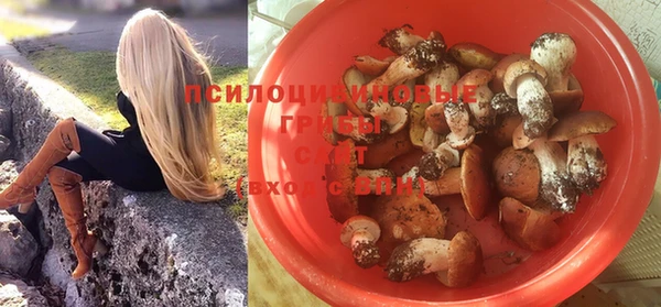 спиды Билибино