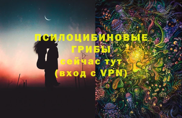 шишки Тольятти