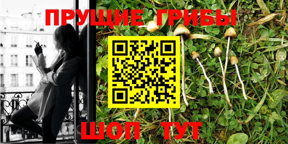 Галлюциногенные грибы Cubensis  Псилоцибиновые грибы Psilocybe  Вход с VPN  Ангарск 