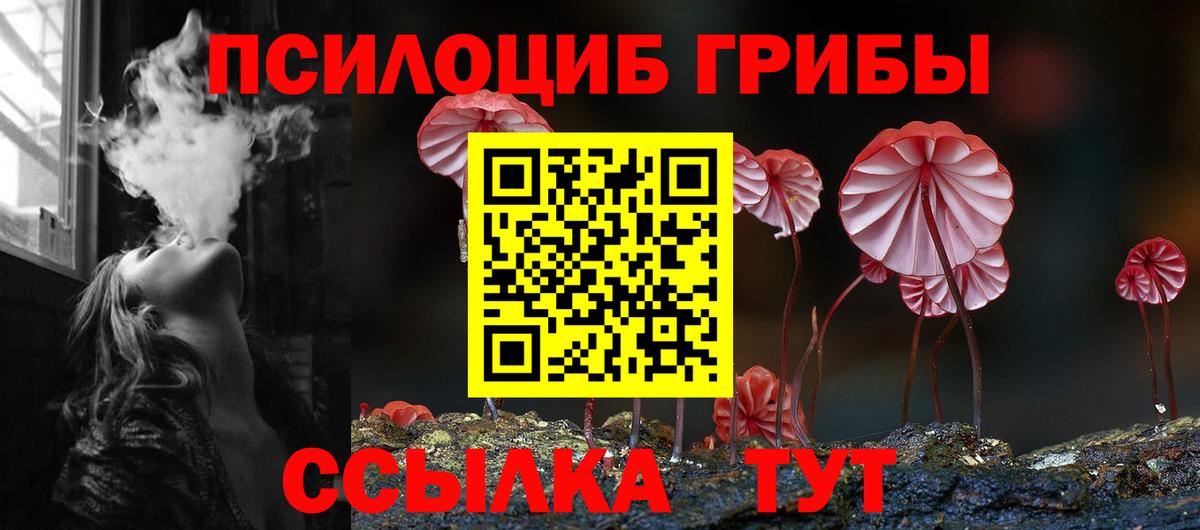 Галлюциногенные грибы Psilocybine cubensis  Ангарск 