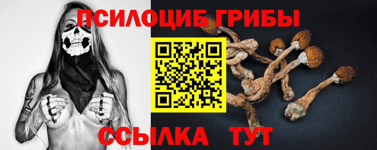 Галлюциногенные грибы мицелий Ангарск