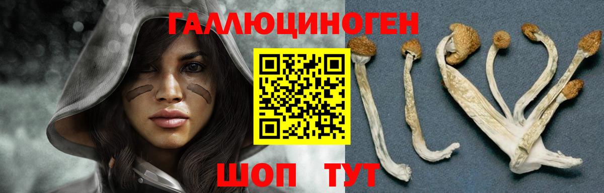 Псилоцибиновые грибы мицелий Ангарск