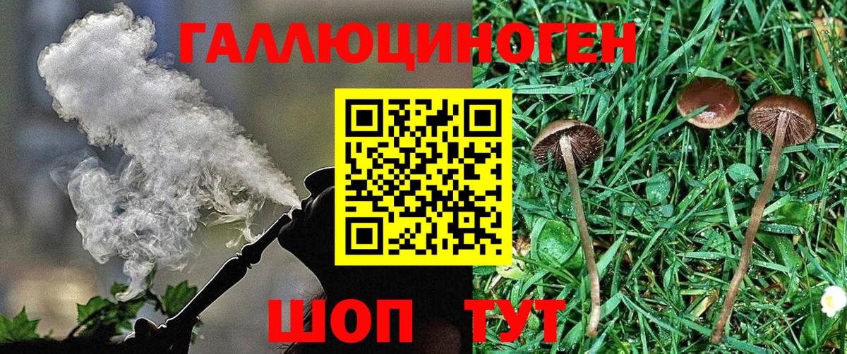 Галлюциногенные грибы Magic Shrooms Ангарск