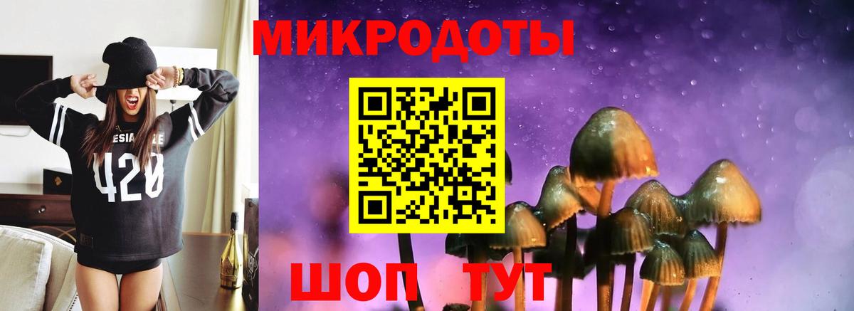 где купить наркоту  Вход с VPN  Псилоцибиновые грибы MAGIC MUSHROOMS  Ангарск  Псилоцибиновые грибы Cubensis 